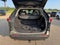2025 Toyota RAV4 XLE Premium AWD