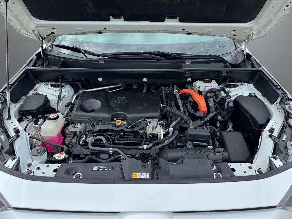 2019 Toyota RAV4 Hybrid LE AWD