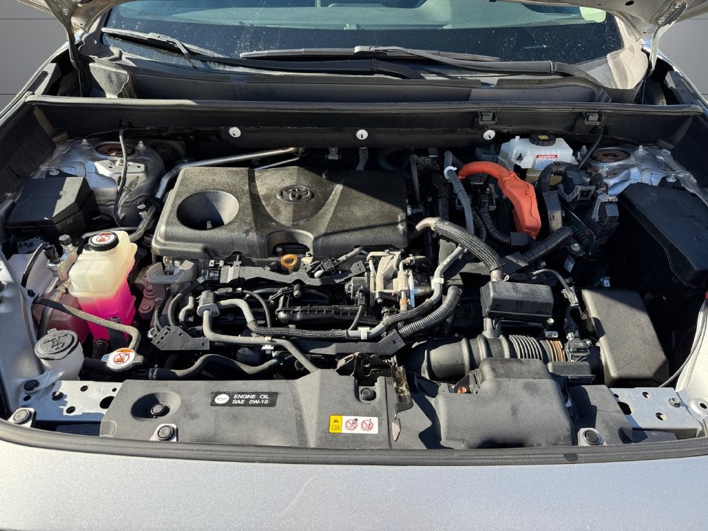 2019 Toyota RAV4 Hybrid LE AWD
