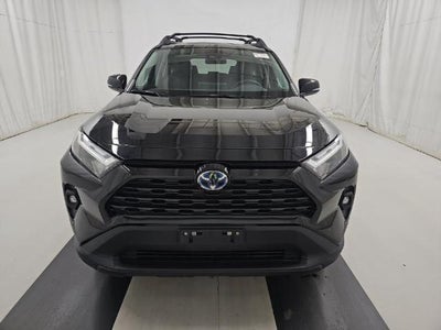 2023 Toyota RAV4 Hybrid Woodland Edition AWD