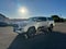 2019 Toyota Tacoma TRD Sport V6