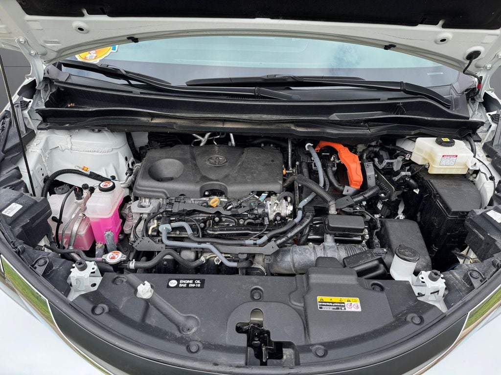 2025 Toyota Sienna XLE 7 Passenger