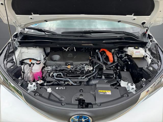 2025 Toyota Sienna LE 8 Passenger