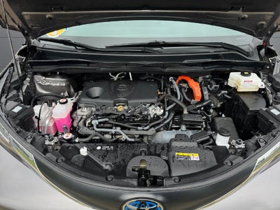 2023 Toyota Sienna XLE 7 Passenger