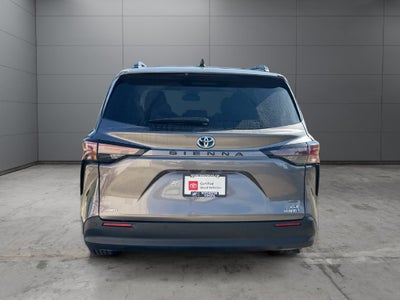 2023 Toyota Sienna XLE 7 Passenger