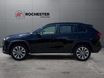 2019 Toyota RAV4 XLE Premium AWD
