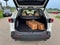 2019 Toyota RAV4 XLE Premium FWD