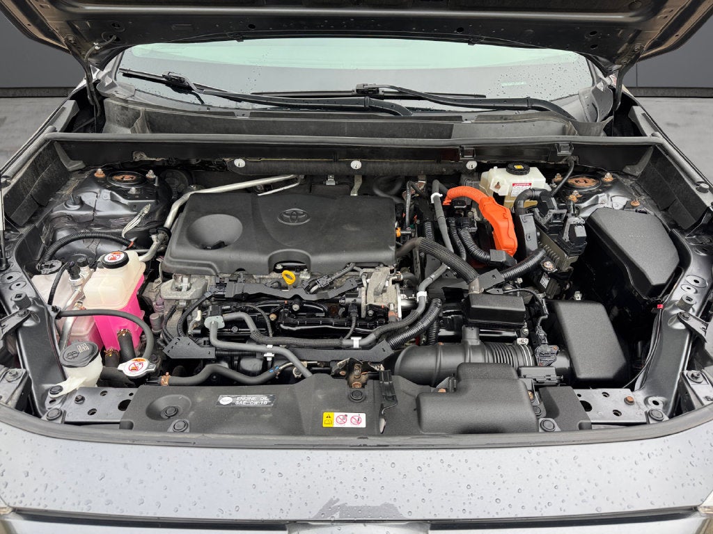 2019 Toyota RAV4 Hybrid LE AWD