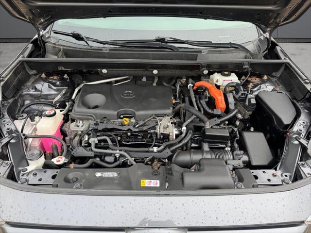 2019 Toyota RAV4 Hybrid LE AWD