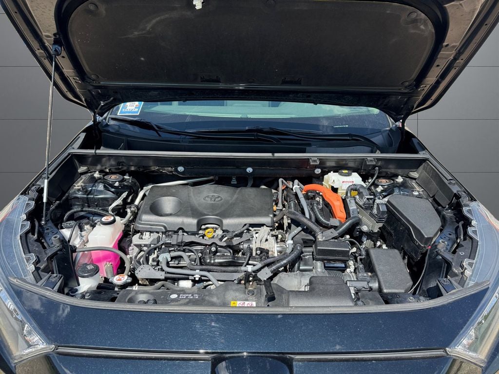 2019 Toyota RAV4 Hybrid LE AWD