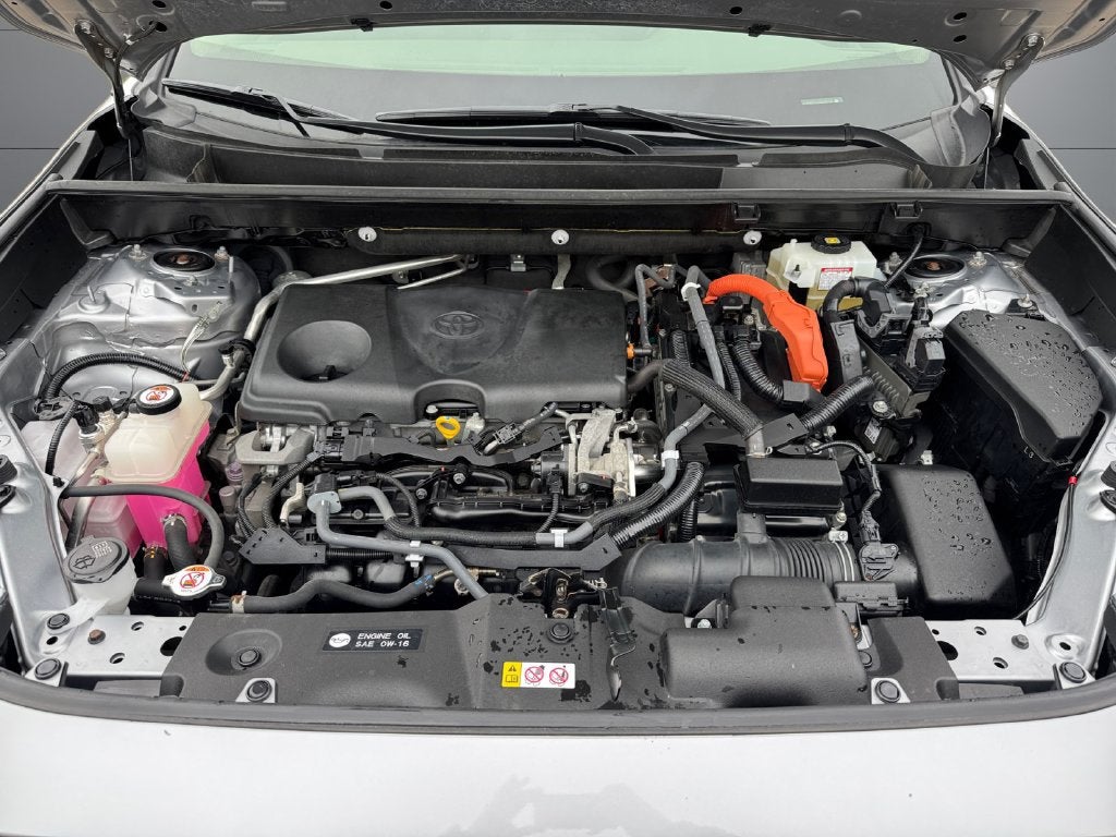 2019 Toyota RAV4 Hybrid LE AWD