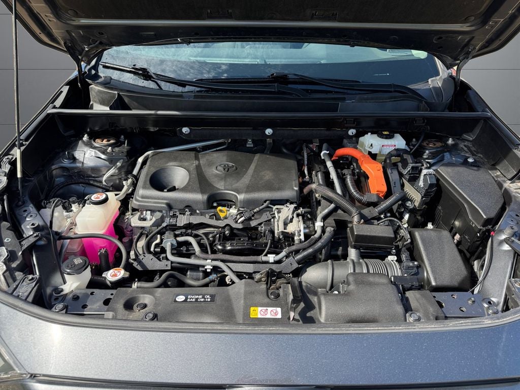 2019 Toyota RAV4 Hybrid LE AWD