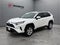 2019 Toyota RAV4 XLE FWD