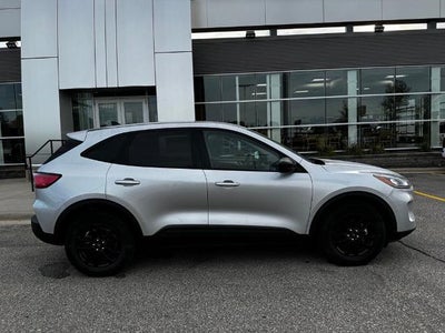 2020 Ford Escape Hybrid SE Sport