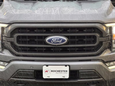 2021 Ford F-150 XLT w/360 Camera + Adaptive Cruise