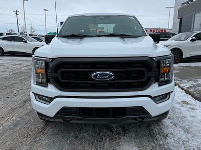 2023 Ford F-150 XLT w/ Twin Panel Moonroof + 360 Camera