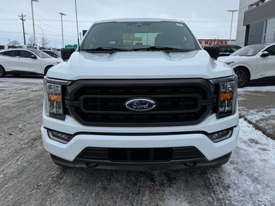 2023 Ford F-150 XLT w/ Twin Panel Moonroof + 360 Camera