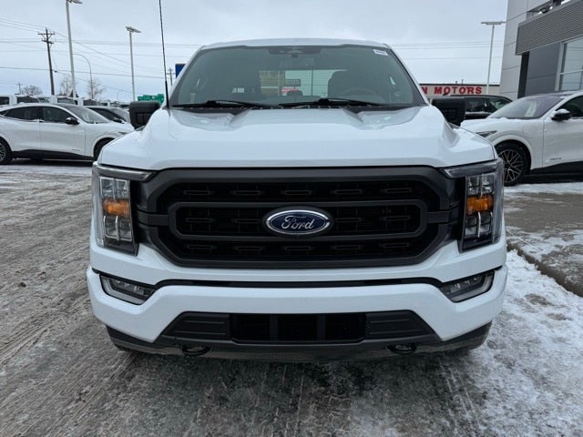 2023 Ford F-150 XLT w/ Twin Panel Moonroof + 360 Camera