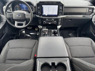 2023 Ford F-150 XLT w/ 6.5' Box