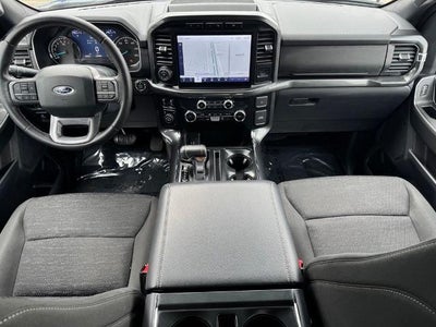 2023 Ford F-150 XLT w/ 6.5' Box