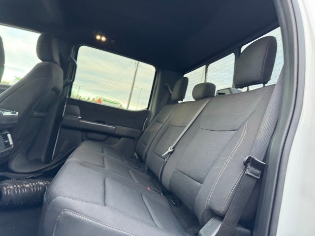 2024 Ford F-150 XLT w/ 360 Camera + 157" Wheelbase / 6.5' Box