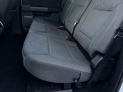 2024 Ford F-150 XLT w/Max Tow + B&O Sound System