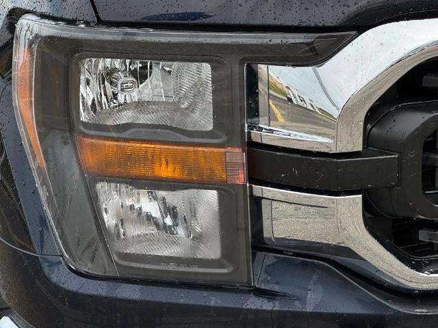 2023 Ford F-150 XLT w/8' Bed